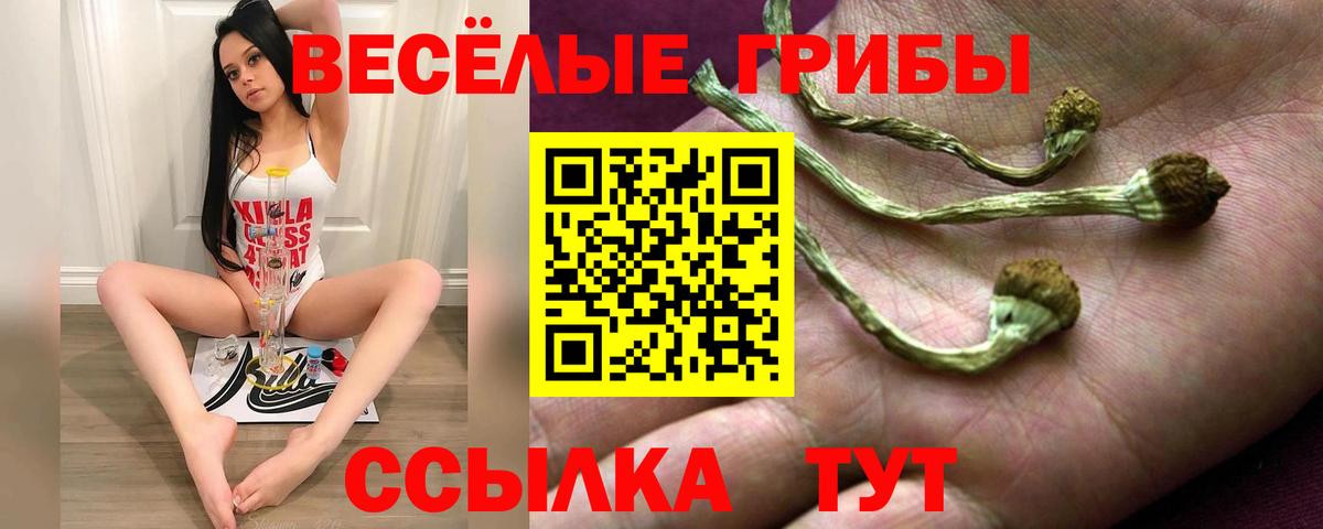 Псилоцибиновые грибы мицелий Хабаровск