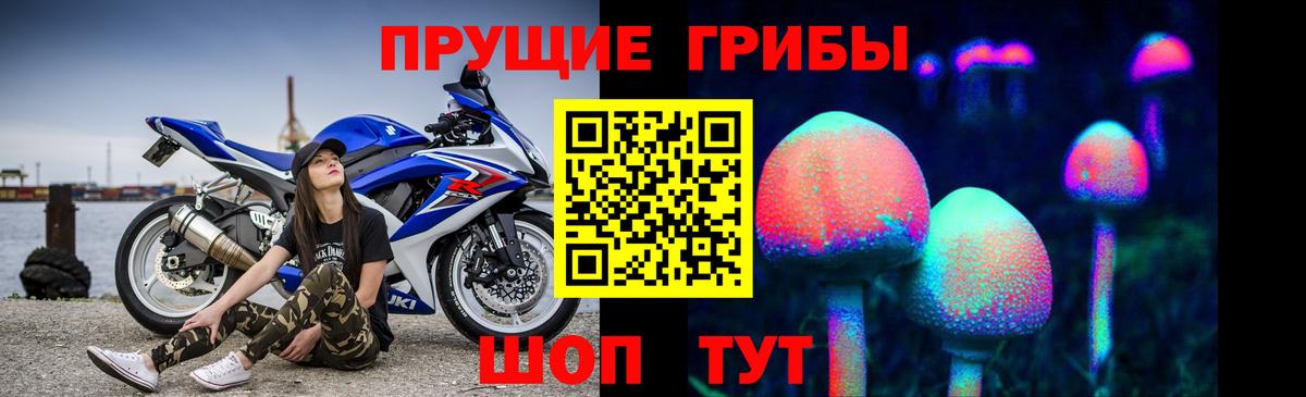 Хабаровск  Псилоцибиновые грибы Magic Shrooms  Вход с VPN  Псилоцибиновые грибы Magic Shrooms 